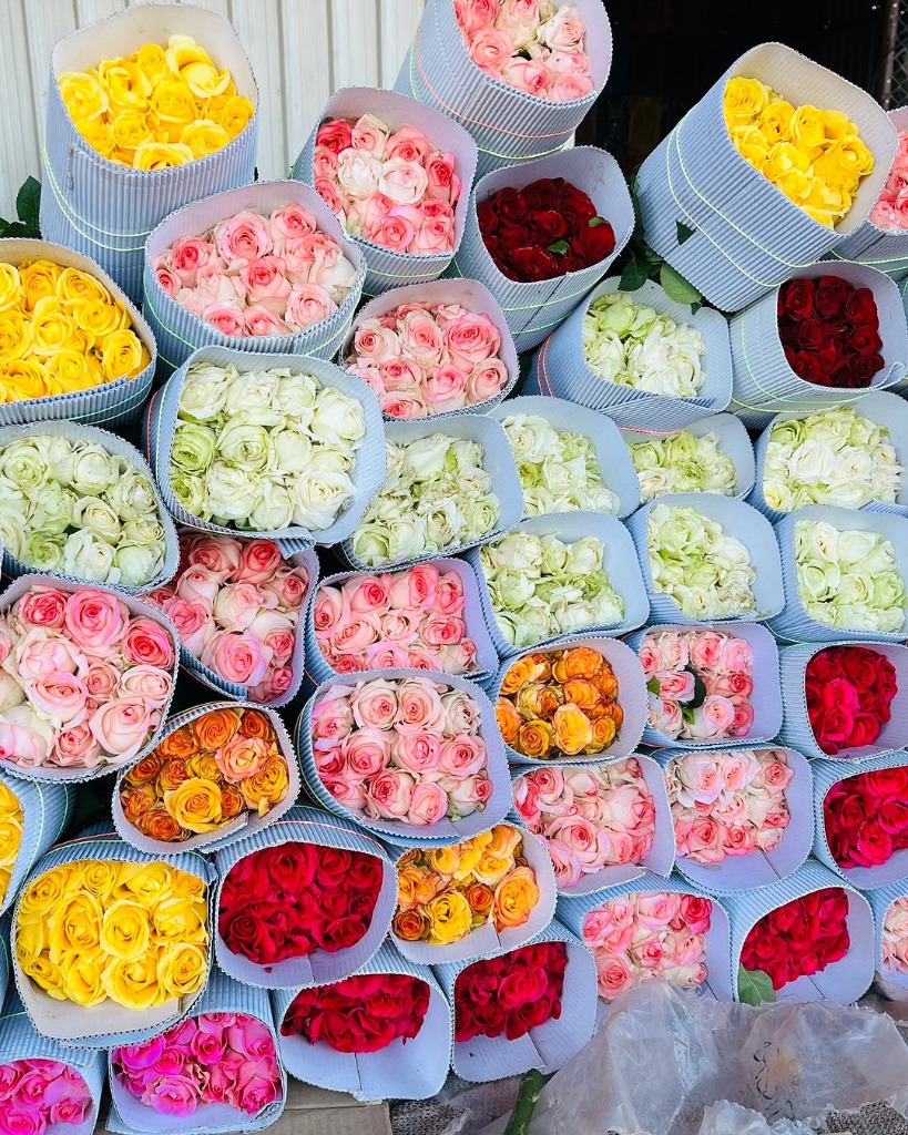 Premium Assorted Colour Roses
